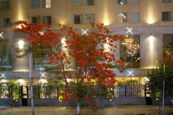 Museum Plaza Hostel image 7